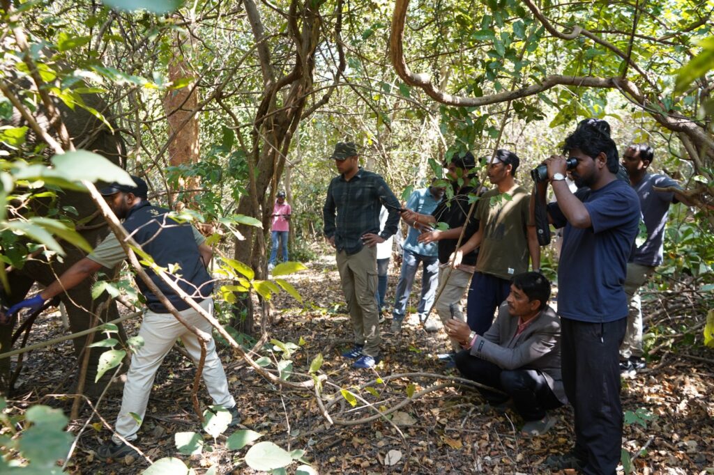 पलामू टाइगर रिजर्व में पहली बार हाथी को ट्रेंकुलाइज किया गया, इलाज के बाद जख्म में सुधार